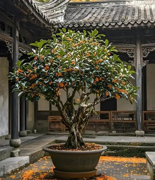 农村种植啥果树好挣钱