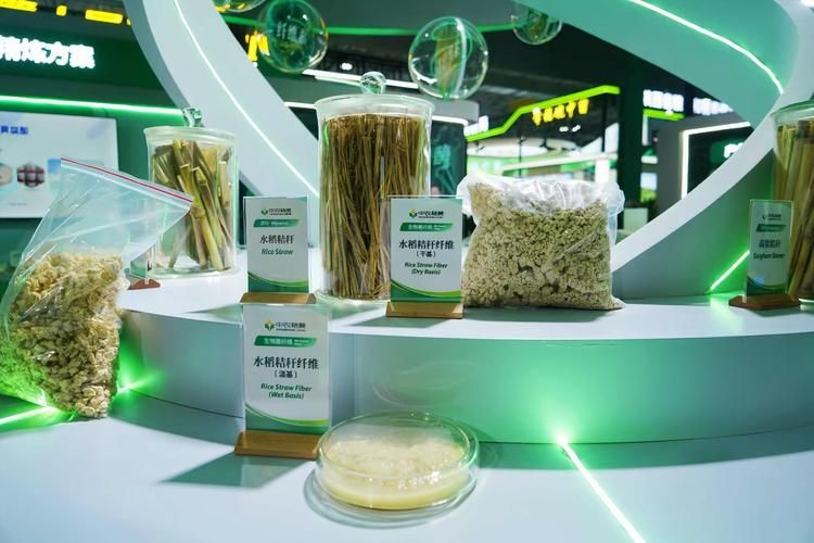 Pilot studies on cellulose thermal fibrolysis