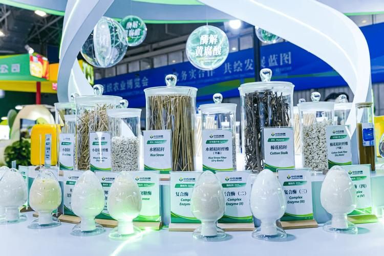 Pilot studies on cellulose thermal fibrolysis