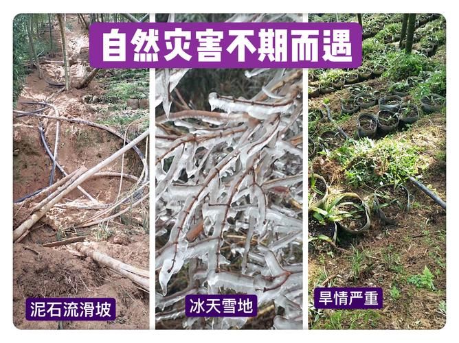 自然灾害常识