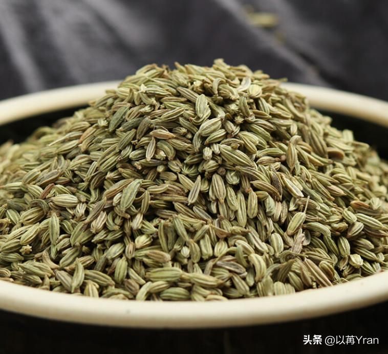 小茴香的种植技术