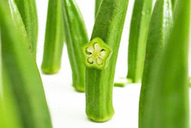 阳台黄秋葵的种植方法