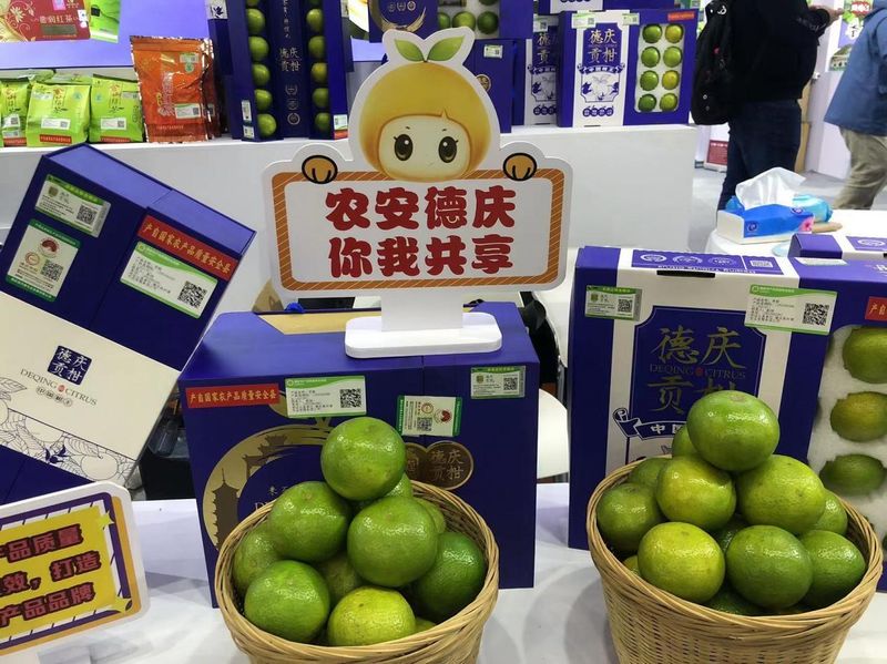 贡柑种植技术视频教学