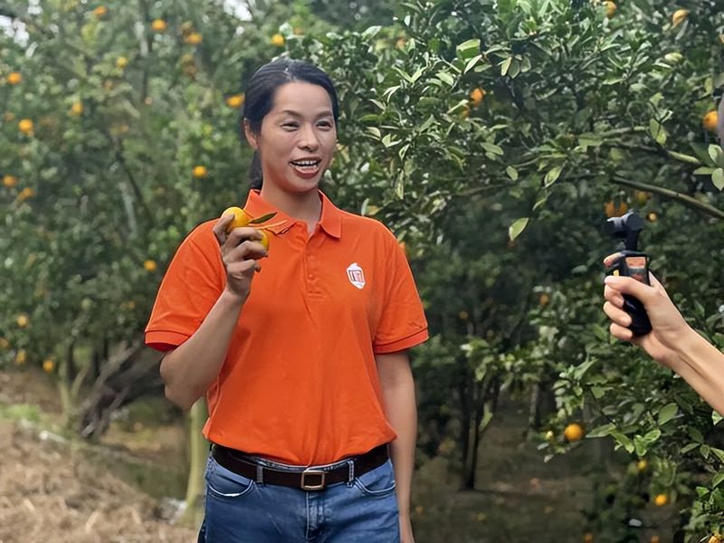 贡柑种植技术视频教学