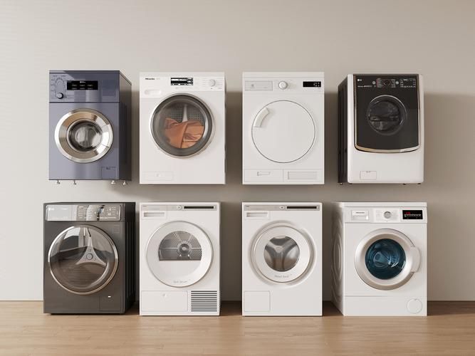 The swan is a fully automatic washing machine