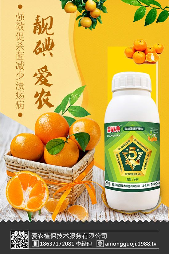 西兰花如何种植?西兰花种植时间及方法!