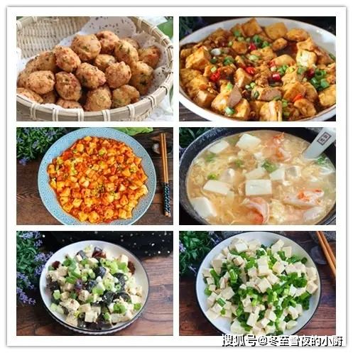 豆腐菜种植技术
