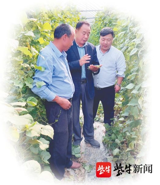 江苏劳模风采⑧|周相民:蔬菜大棚里“种”出30项专利发明