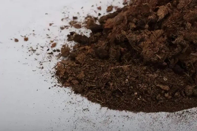 阳台盆栽蔬菜种植技术