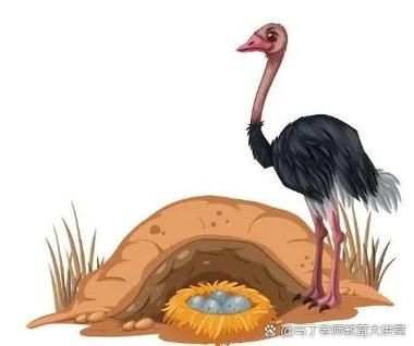 冷门知识问答