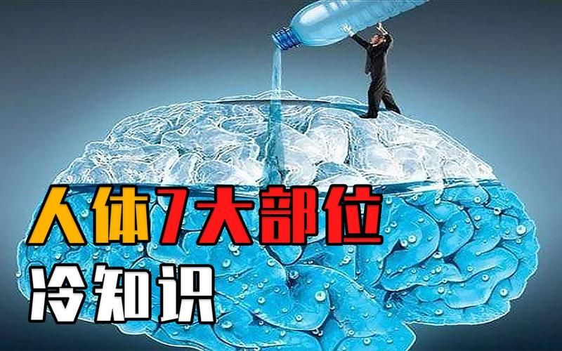 冷门知识问答