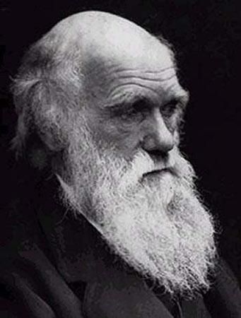 达尔文（Charles Darwin）