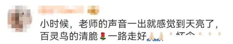 新闻节目主持人特点