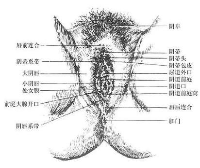 呼吸机维修手册