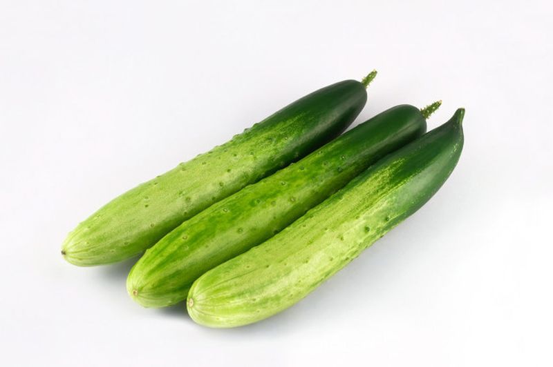 黄瓜种植方法如下