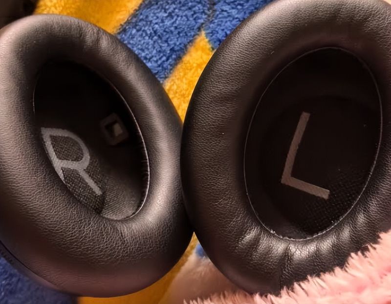 Headphone maintenance, sean