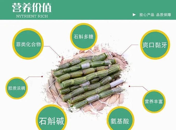铁皮石斛温室大棚种植技术下载