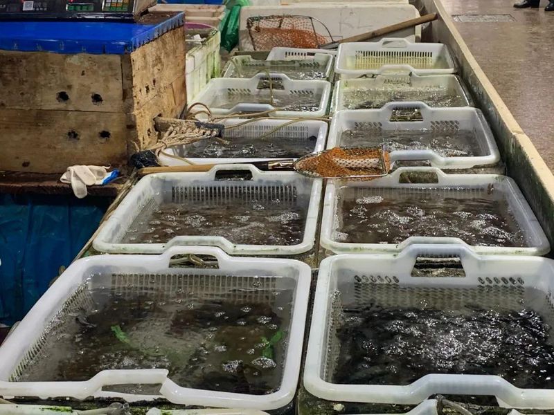 How much is a pound of fish in green