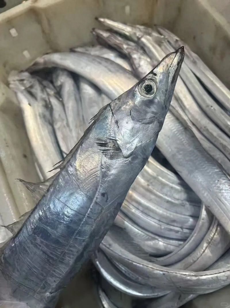 北方人眼里最贵的是石斑,浙江人说:这7种鱼,第3种有钱买不到