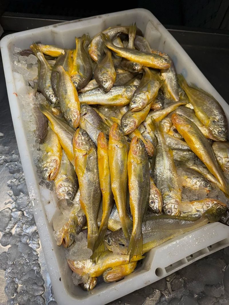 How much is a pound of fish in green