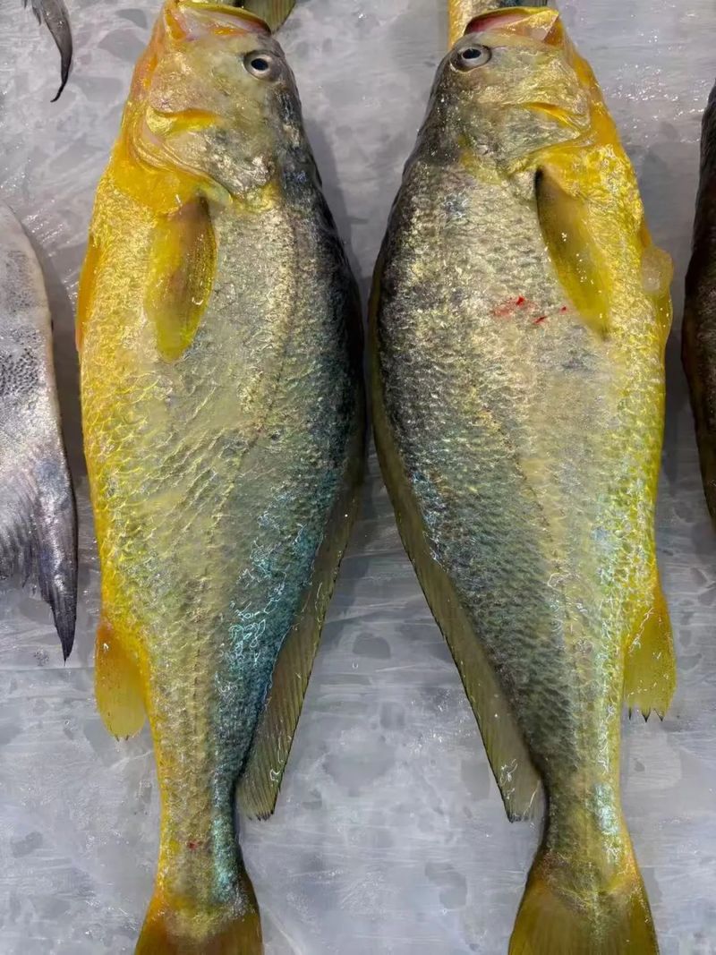 How much is a pound of fish in green