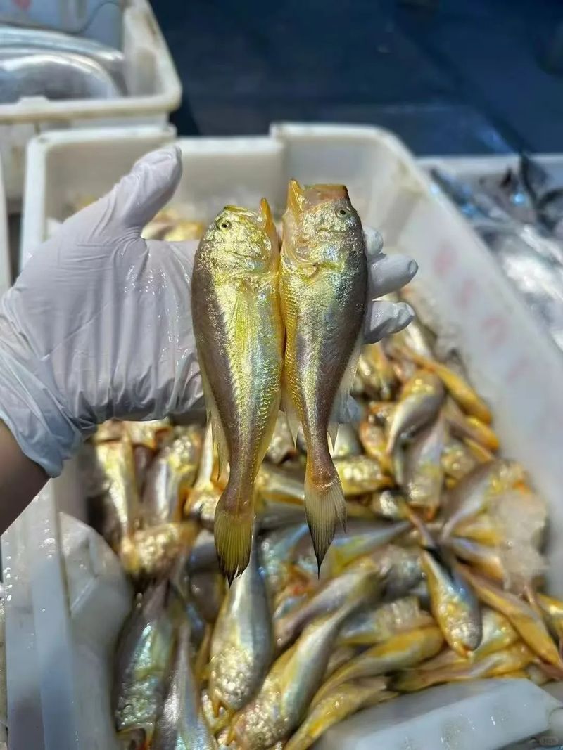 How much is a pound of fish in green
