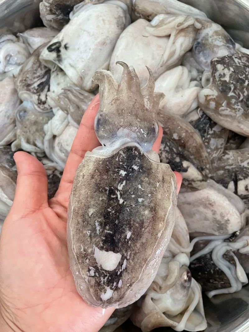 How much is a pound of fish in green