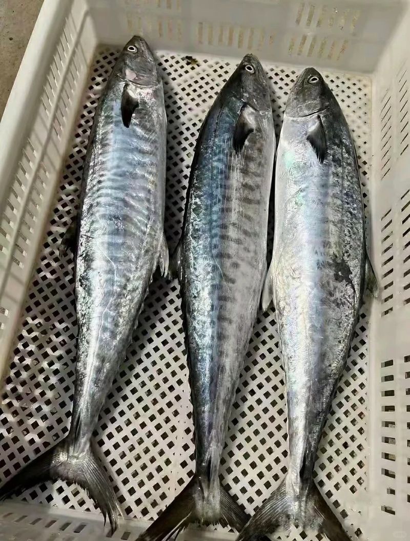 How much is a pound of fish in green