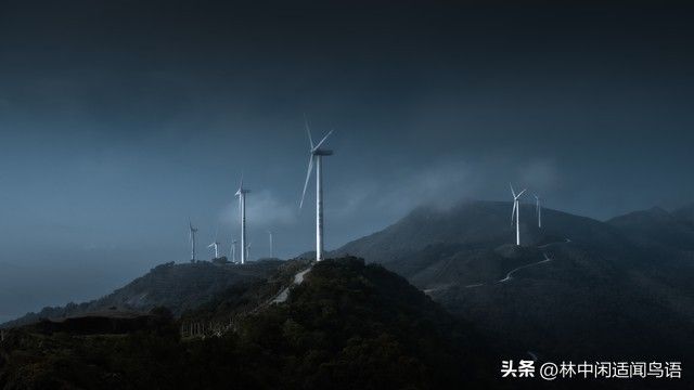 15兆瓦发电机组多少钱