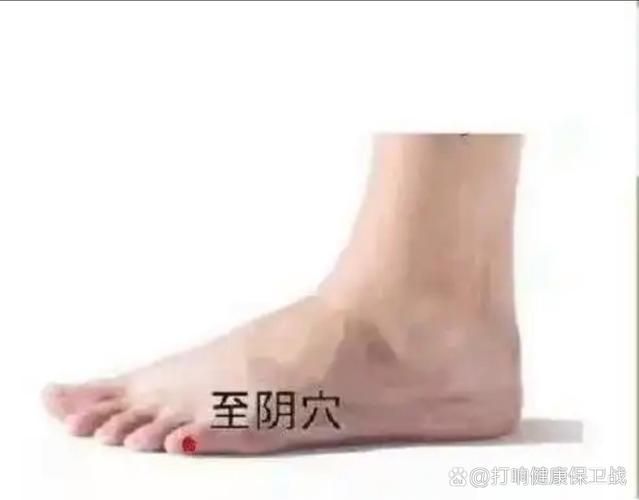 How much do i owe you