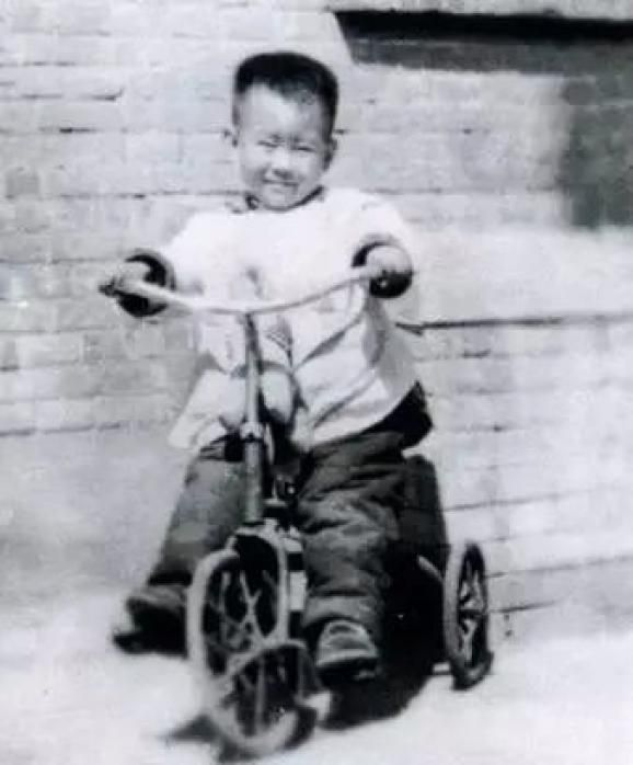 郑渊洁知识渊博吗