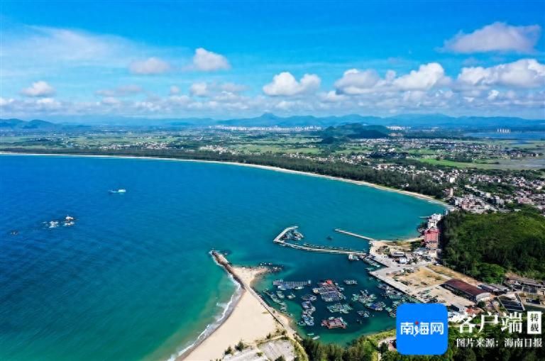 青衣鱼多少钱一斤