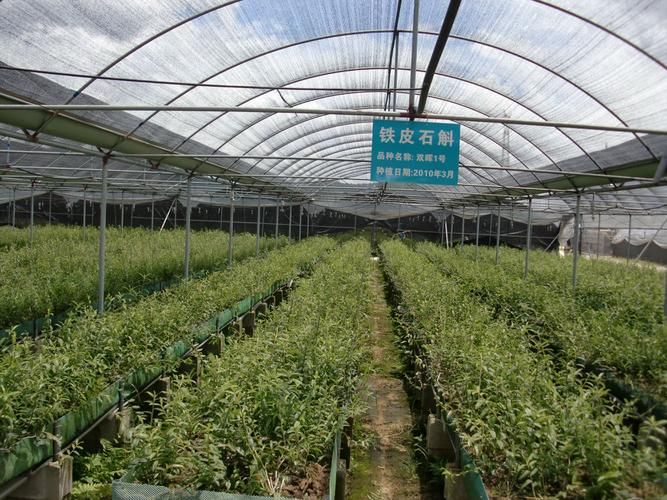 &bull; downloading of iron-pry rock greenhouses planting technology