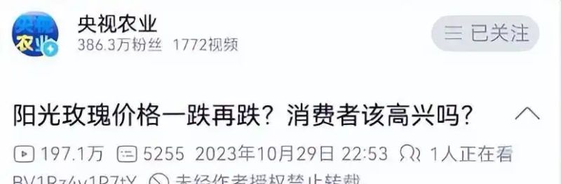 玫瑰香葡萄的种植方法