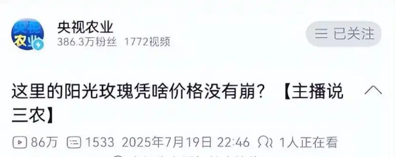 玫瑰香葡萄的种植方法