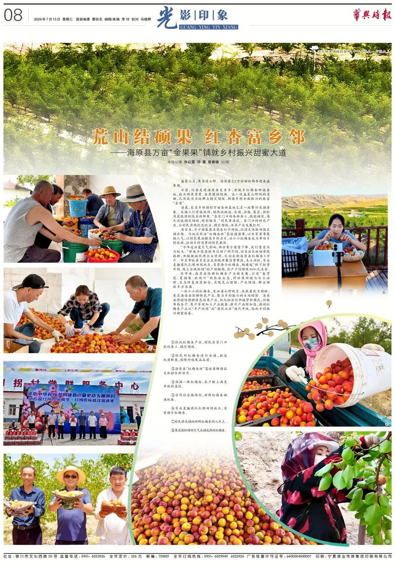 Apricot planting techniques