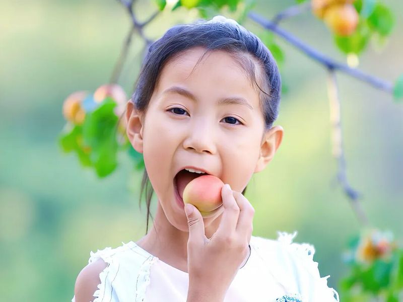 Apricot planting techniques