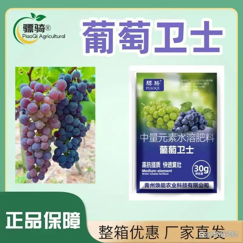The way rose grapes grow