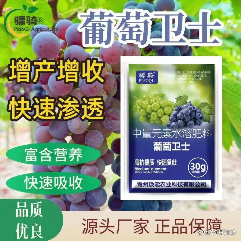 The way rose grapes grow