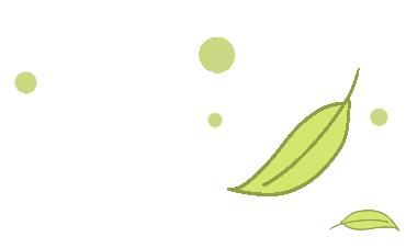 Lectures on community diets