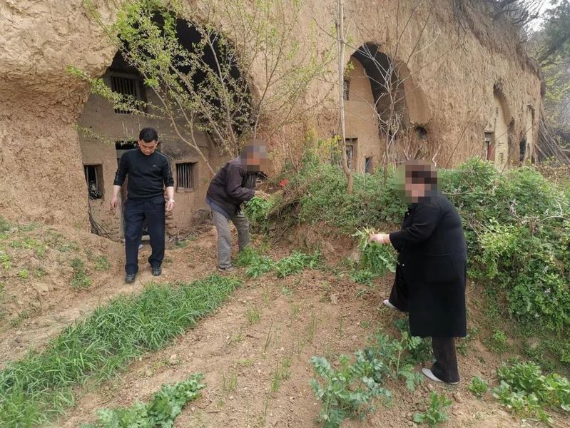 Opium cultivation methods