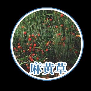Opium cultivation methods