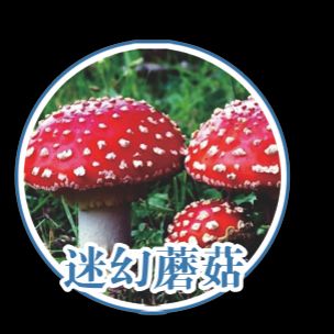 Opium cultivation methods