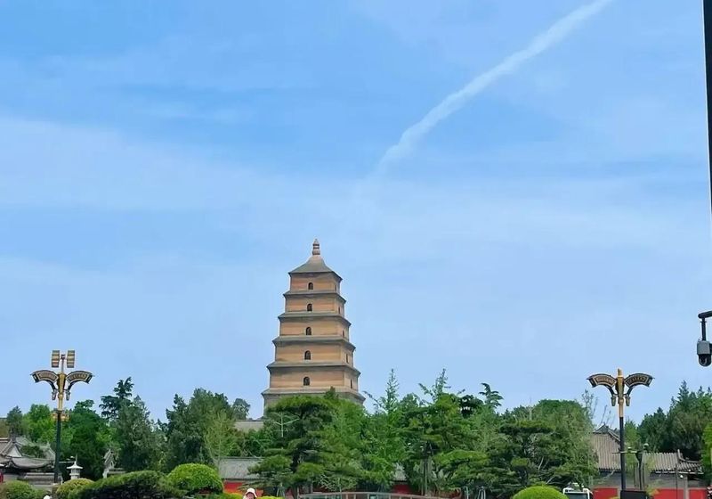 李可老中医治胄病经验