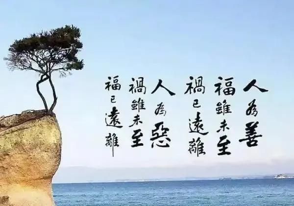 李可老中医治胄病经验