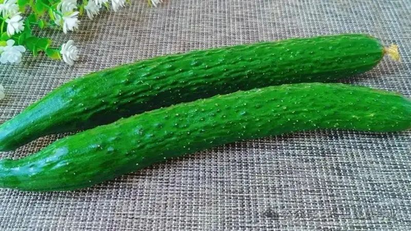 黄瓜咸菜腌制方法