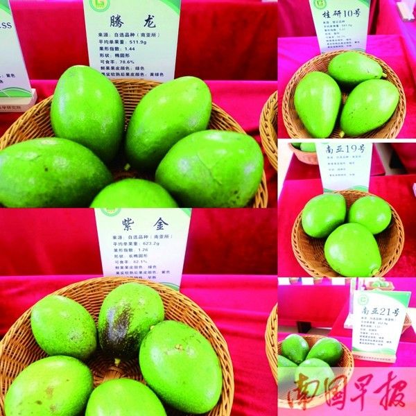 How much is guangxi tea and fruit