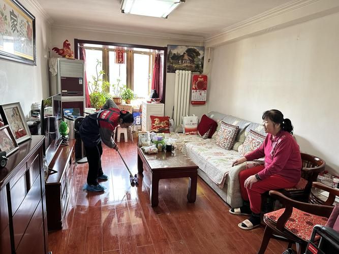 Prospects for the domestic maintenance service sector