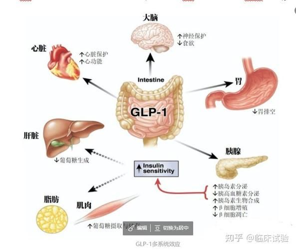 李可老中医治胄病经验