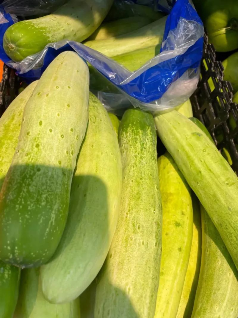 黄瓜咸菜腌制方法